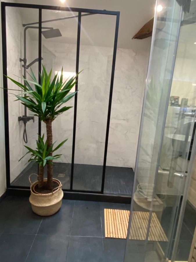 Charmant Appartement Avec Spa Fontenay-le-Comte Exterior foto